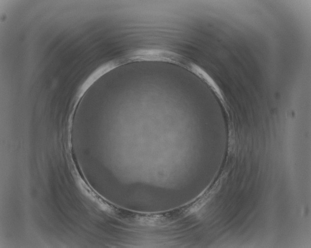 X0000085261386200703091312