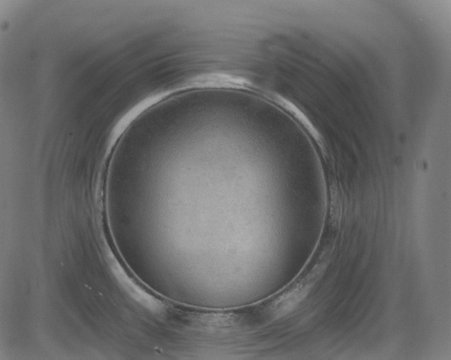 X0000085261387200703091312