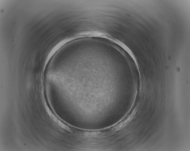 X0000085261389200703091312