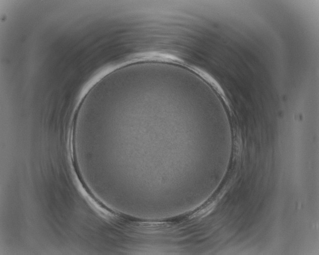 X0000085261391200703091312