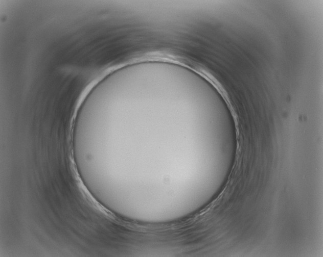 X0000085261392200703091312