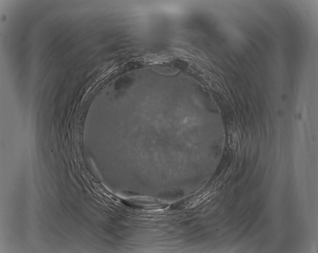 X0000085261393200703091311