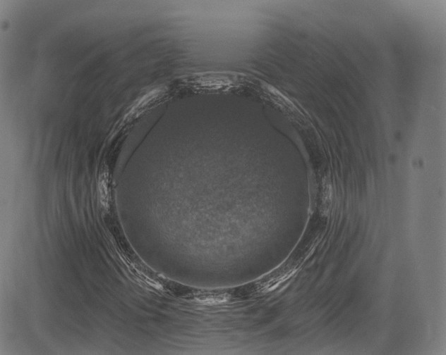 X0000085261394200703091311