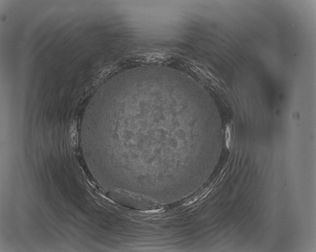 X0000085261395200703091311