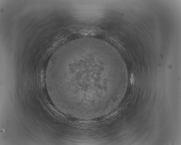 X0000085261396200703091311