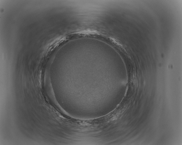 X0000085261398200703091311