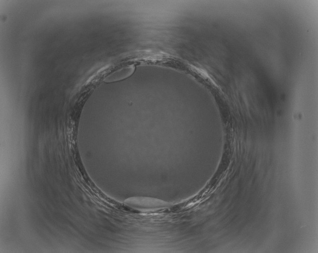 X0000085261399200703091311