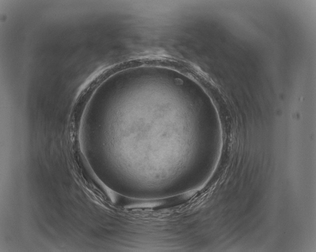 X0000085261400200703091312