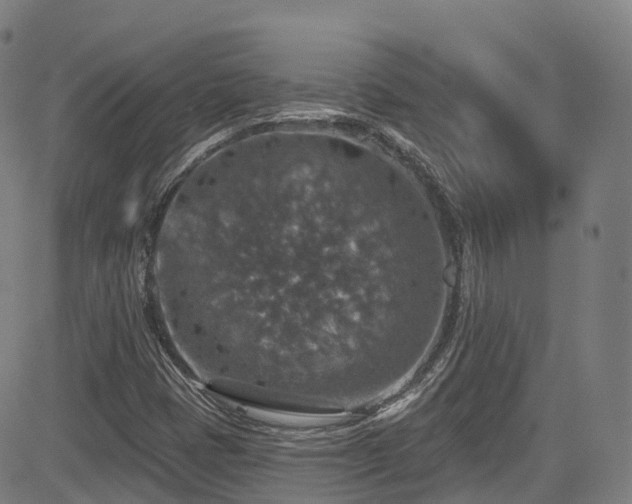 X0000085261401200703091312