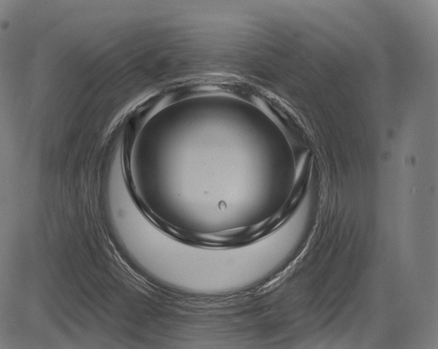 X0000085261402200703091312