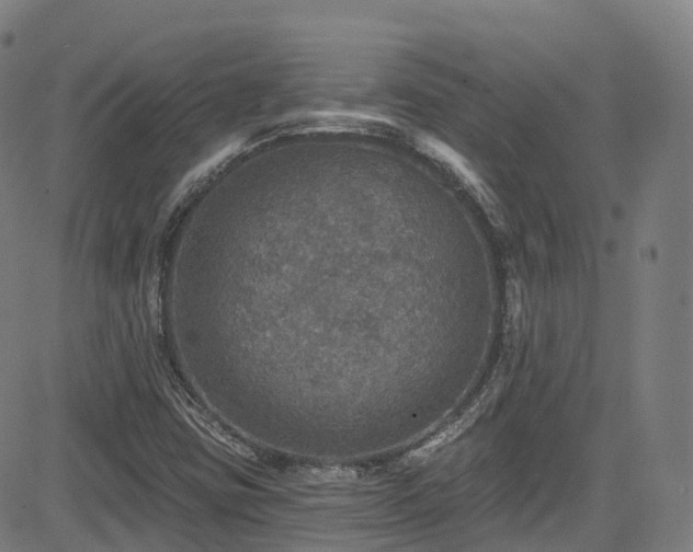 X0000085261403200703091312