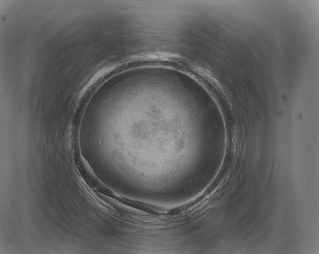 X0000085261404200703091312