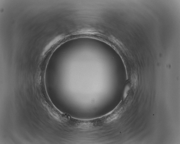 X0000085261406200703091312