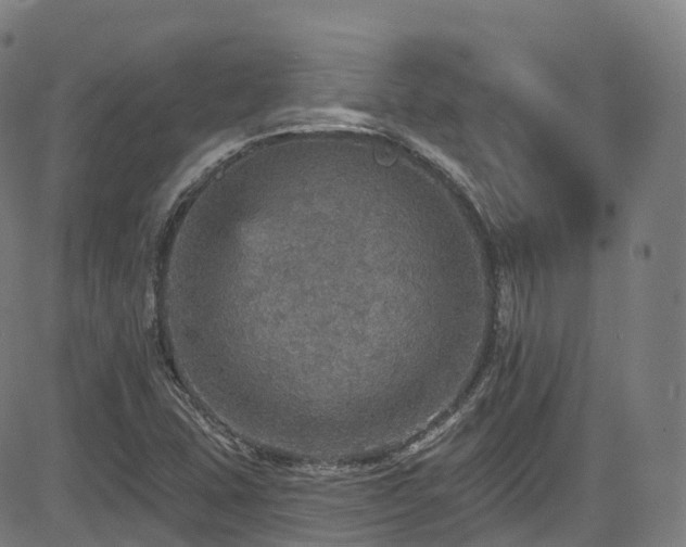 X0000085261407200703091312