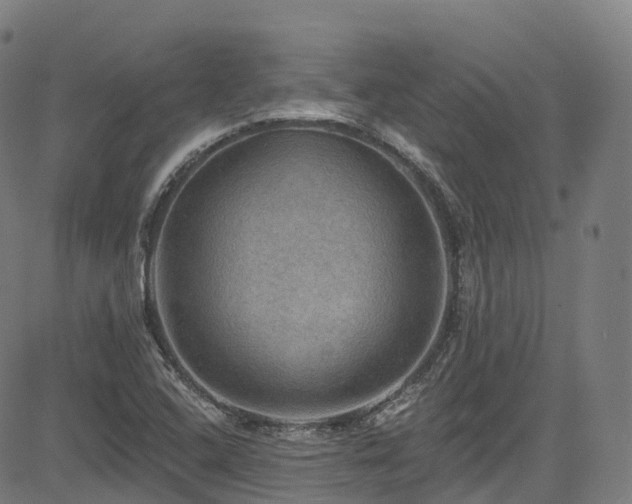 X0000085261408200703091312