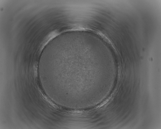 X0000085261409200703091312