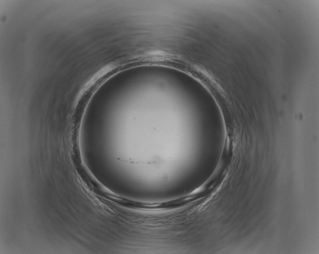 X0000085261410200703091312