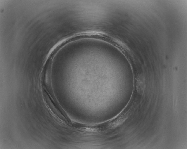 X0000085261412200703091312