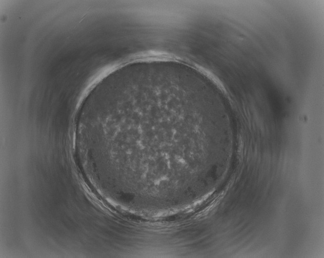 X0000085261413200703091312