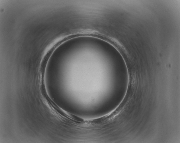 X0000085261414200703091312