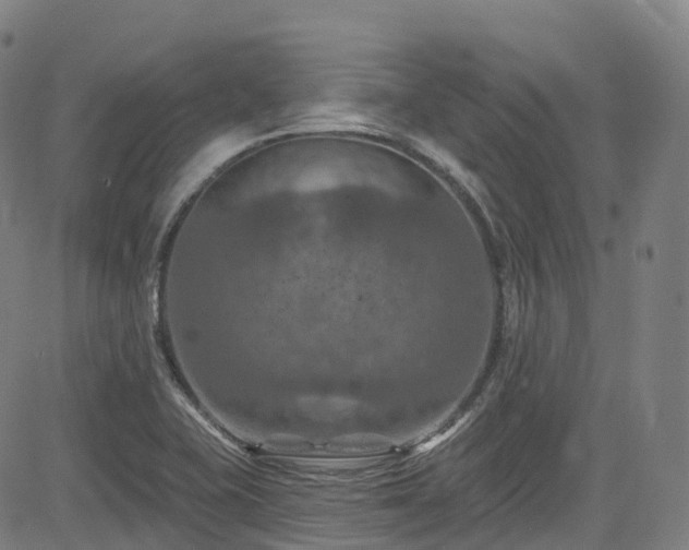 X0000085261415200703091312