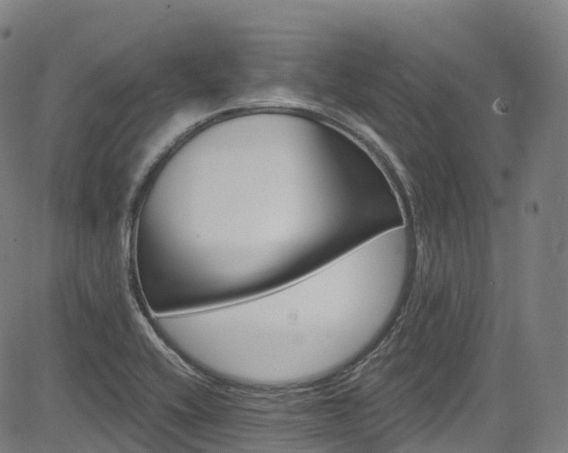 X0000085261416200703091312