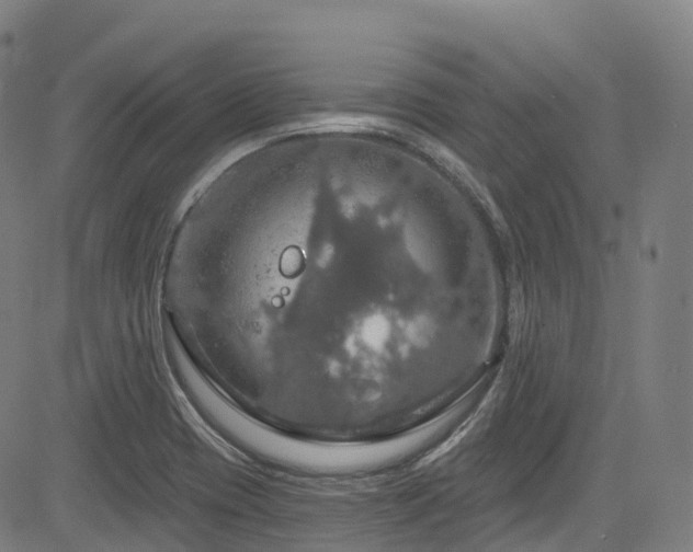 X0000085261417200703091312