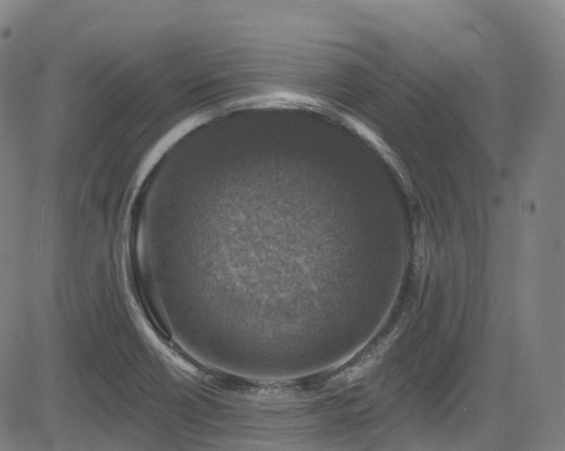 X0000085261418200703091312