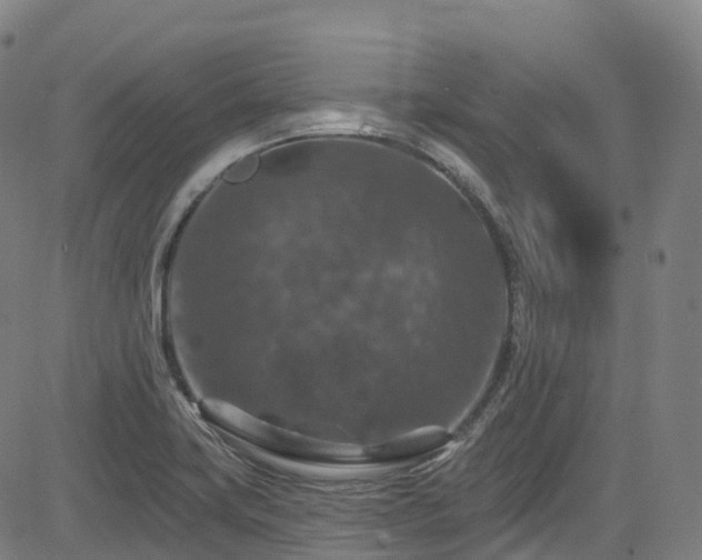 X0000085261419200703091312