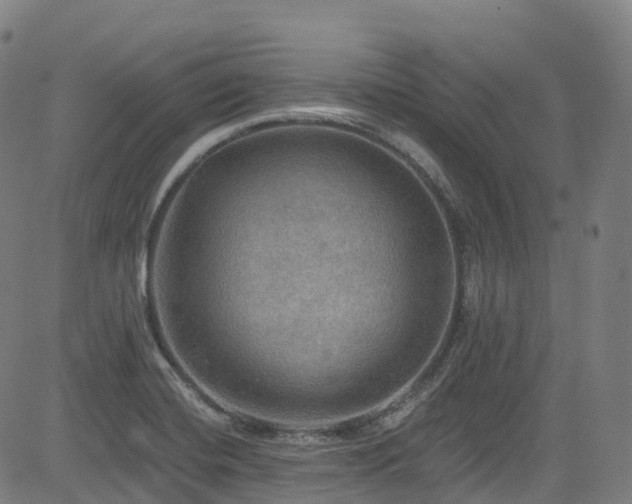 X0000085261420200703091312