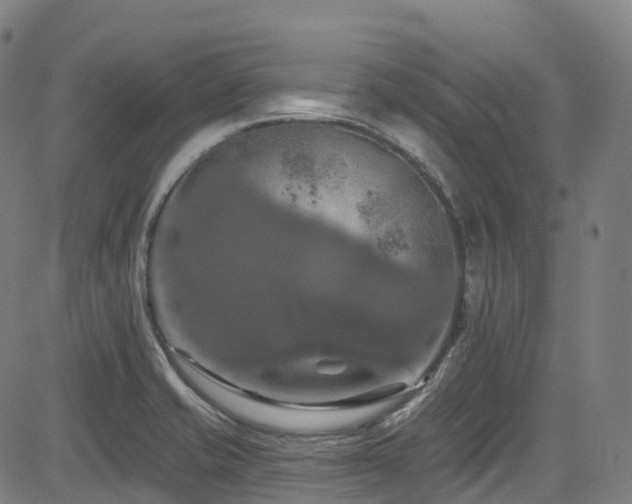 X0000085261421200703091312