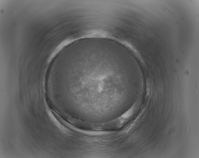 X0000085261422200703091312