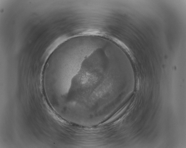 X0000085261423200703091312