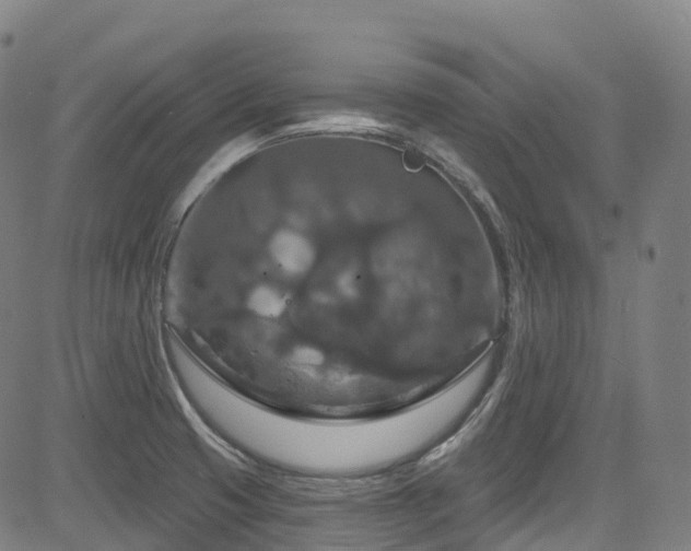 X0000085261425200703091312