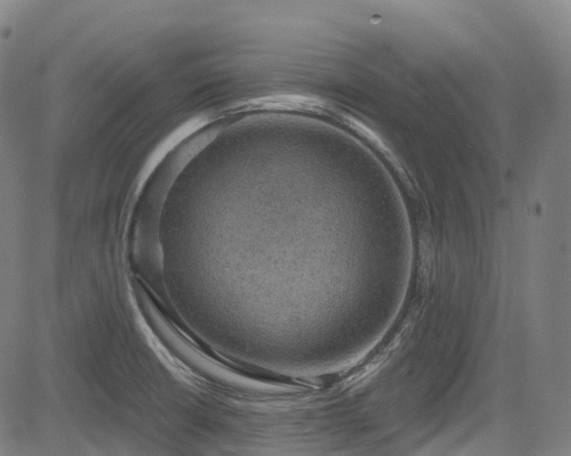 X0000085261426200703091312