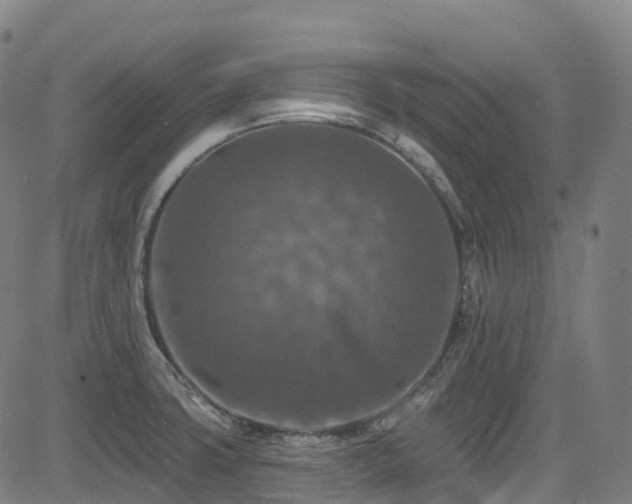 X0000085261427200703091312