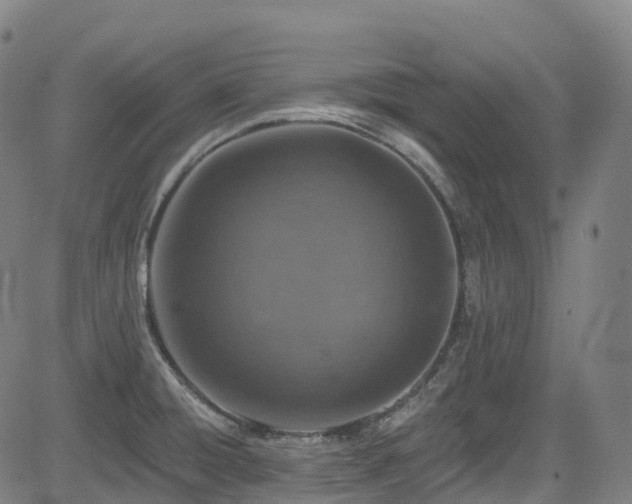 X0000085261428200703091312