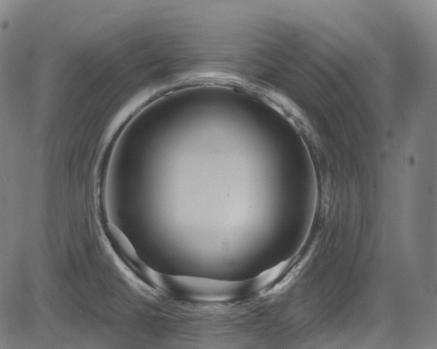 X0000085261430200703091312