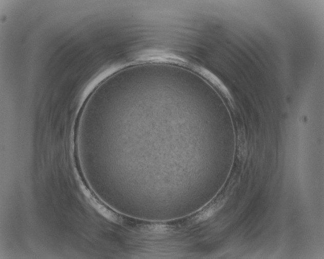 X0000085261431200703091312