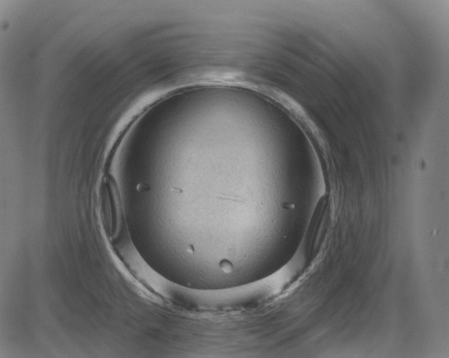 X0000085261432200703091312