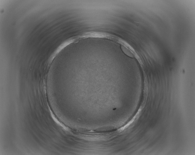 X0000085261433200703091312