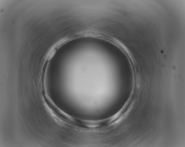 X0000085261434200703091312