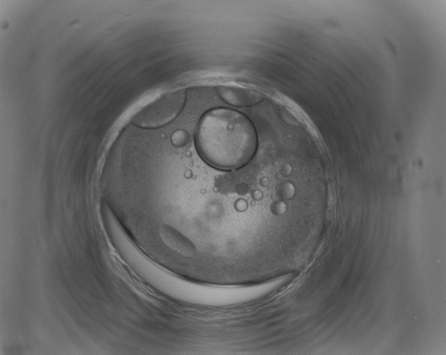 X0000085261435200703091312