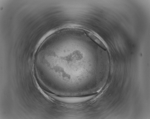 X0000085261437200703091312