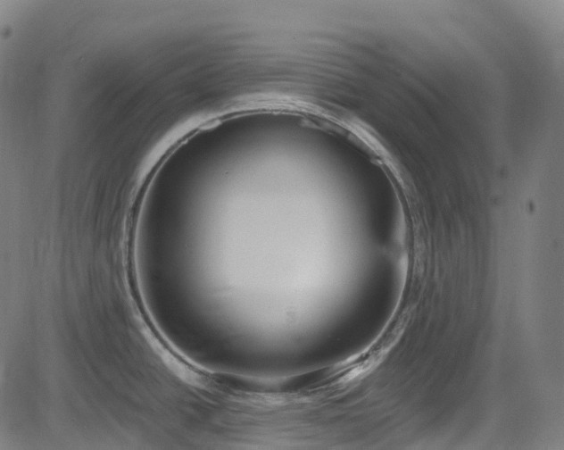 X0000085261438200703091312