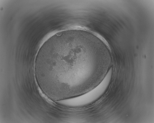 X0000085261439200703091312