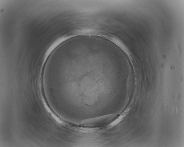 X0000085261440200703091312