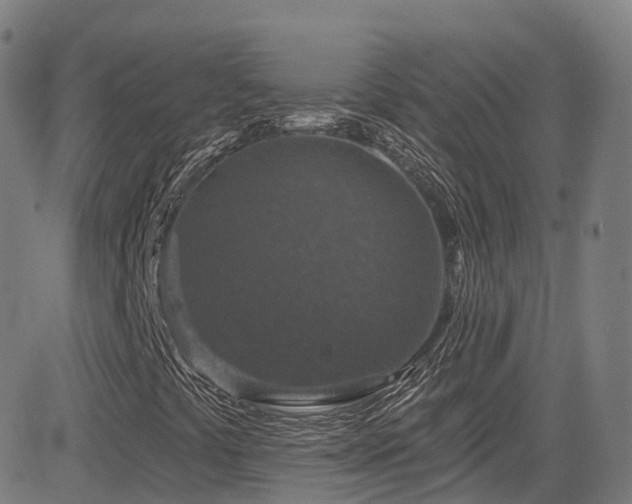 X0000085261441200703091311