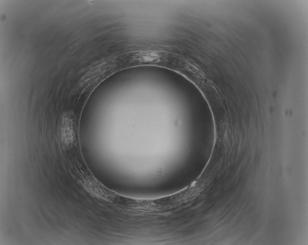 X0000085261442200703091311