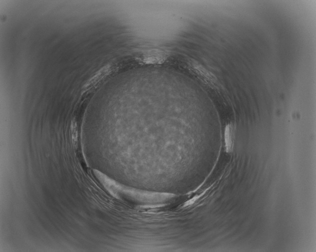 X0000085261443200703091311